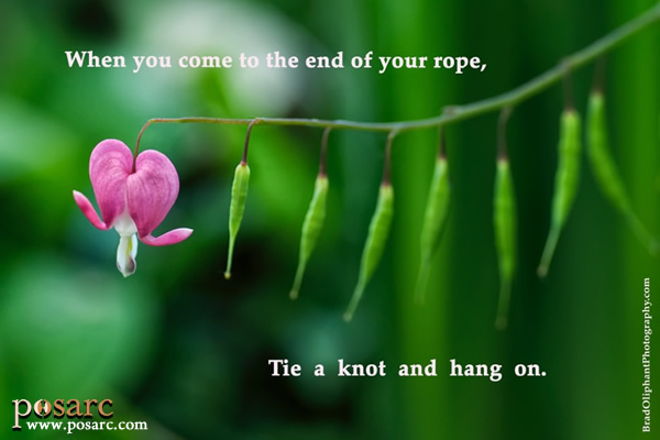PoSARC Inspiration - End of Your Rope