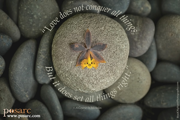 PoSARC Inspiration - Love Does Not Conquer All