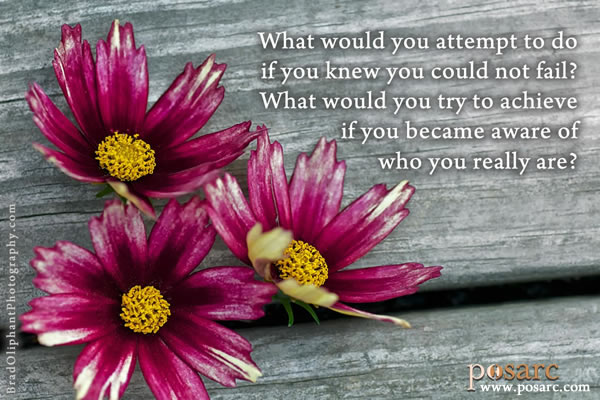 PoSARC Inspiration - What Would You Do