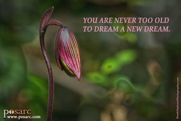 PoSARC Inspiration - You Are Never Too Old
